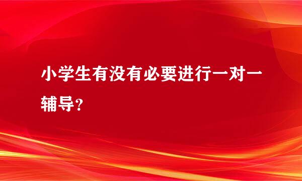 小学生有没有必要进行一对一辅导？