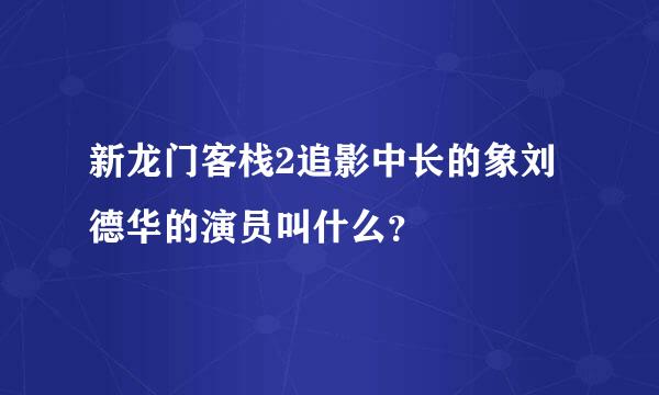 新龙门客栈2追影中长的象刘德华的演员叫什么？