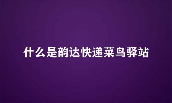 什么是韵达快递菜鸟驿站