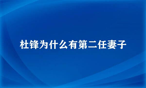 杜锋为什么有第二任妻子