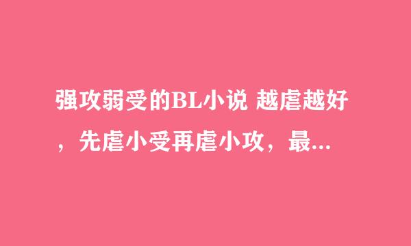 强攻弱受的BL小说 越虐越好，先虐小受再虐小攻，最后甜蜜 宠文也好