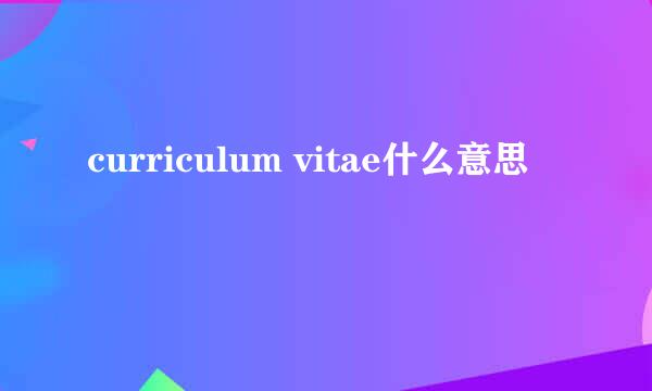 curriculum vitae什么意思