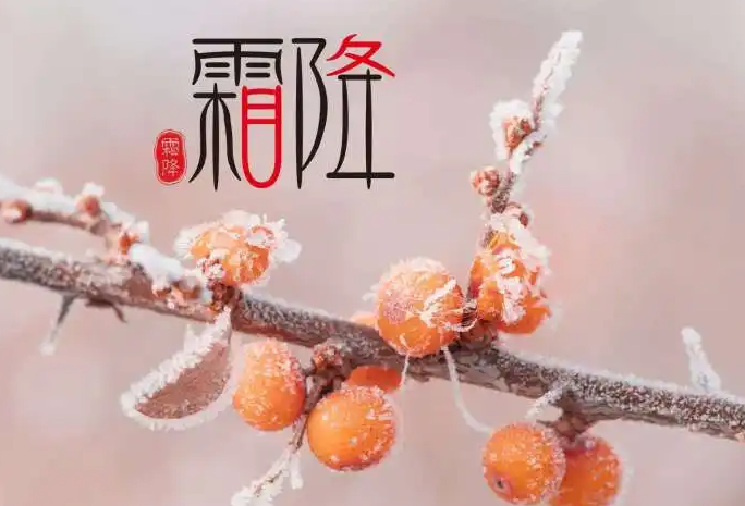 霜降节气的含义是什么？