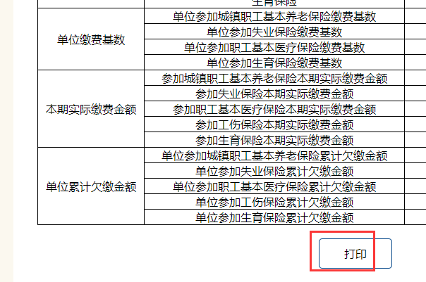 企业网上年检报告书如何打印