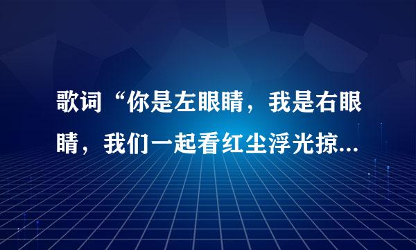 歌词“你是左眼睛，我是右眼睛，我们一起看红尘浮光掠影”出自哪首歌？