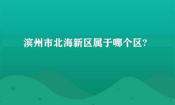 滨州市北海新区属于哪个区?