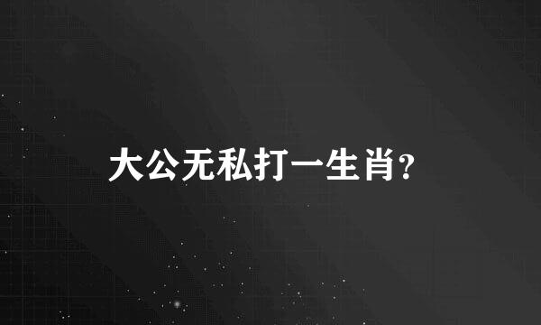 大公无私打一生肖？