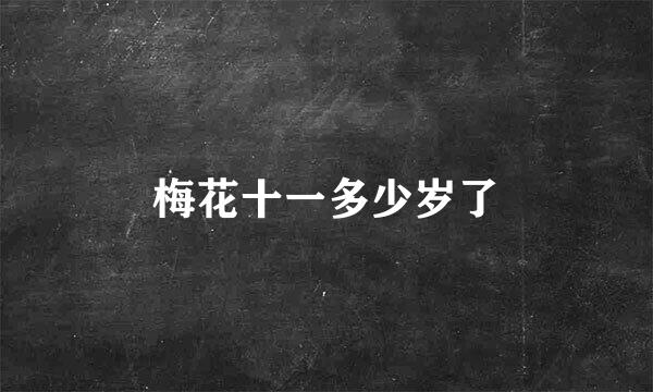 梅花十一多少岁了