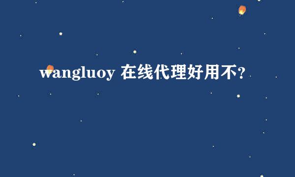 wangluoy 在线代理好用不？