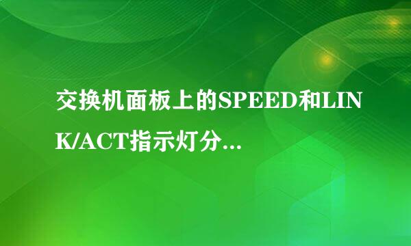 交换机面板上的SPEED和LINK/ACT指示灯分别表示什么呀