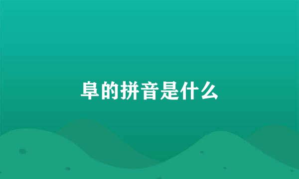 阜的拼音是什么