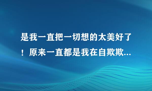 是我一直把一切想的太美好了！原来一直都是我在自欺欺人！是什么意思？