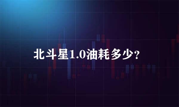 北斗星1.0油耗多少？