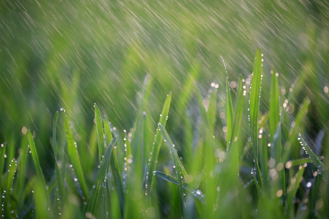 春雨像什么一样轻轻的落在地上？