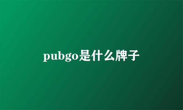 pubgo是什么牌子