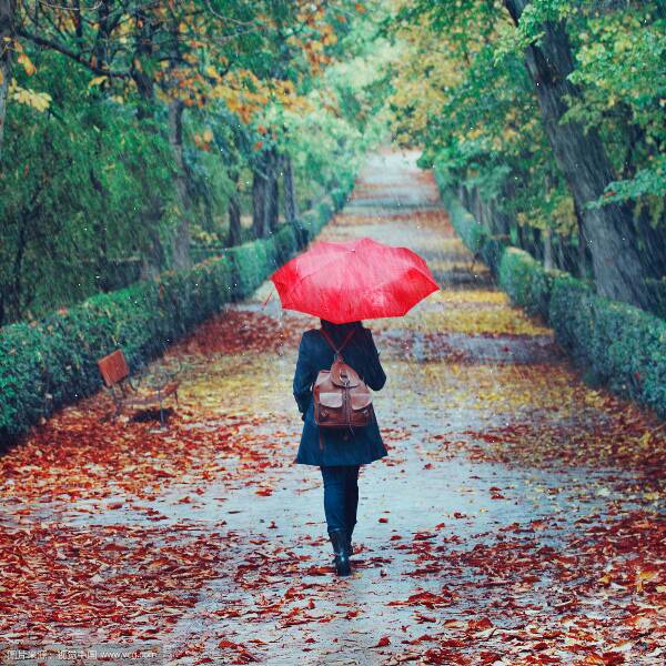 雨中漫步什么意思