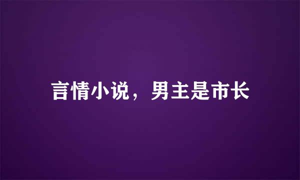 言情小说，男主是市长