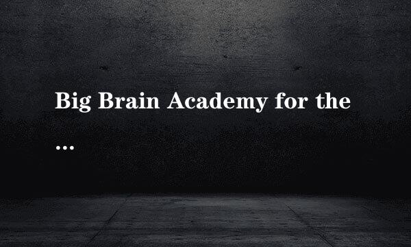 Big Brain Academy for the Wii 在哪里可以下载到这个游戏？