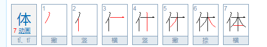 体的意思是什么？