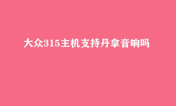 大众315主机支持丹拿音响吗