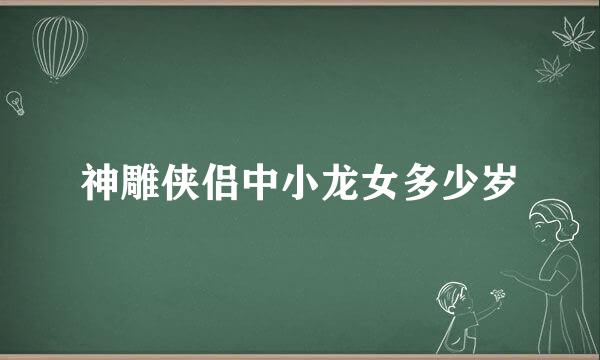 神雕侠侣中小龙女多少岁