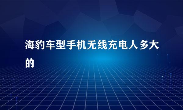 海豹车型手机无线充电人多大的