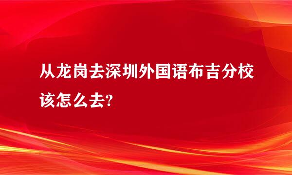 从龙岗去深圳外国语布吉分校该怎么去?