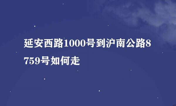 延安西路1000号到沪南公路8759号如何走