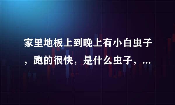 家里地板上到晚上有小白虫子，跑的很快，是什么虫子，跑的很快，开灯后就跑？