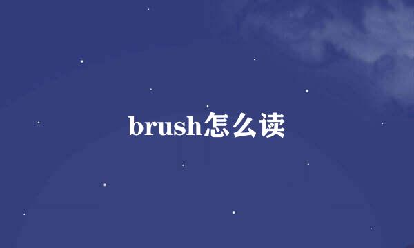 brush怎么读