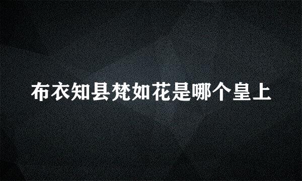 布衣知县梵如花是哪个皇上