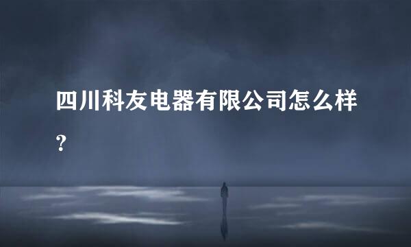 四川科友电器有限公司怎么样？