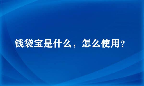 钱袋宝是什么，怎么使用？