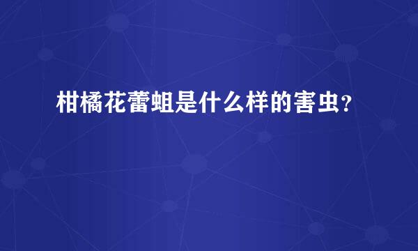 柑橘花蕾蛆是什么样的害虫？