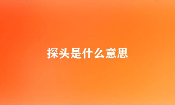 探头是什么意思