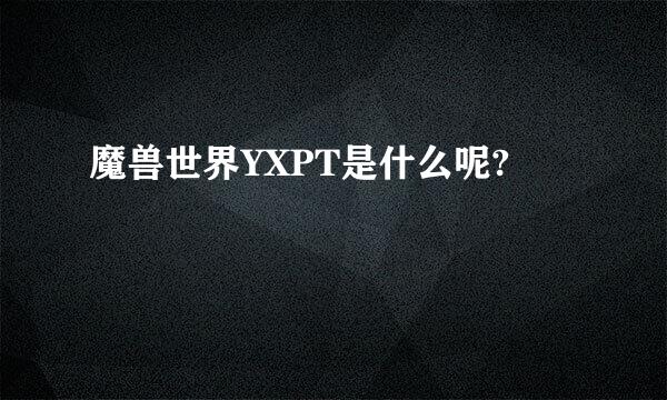 魔兽世界YXPT是什么呢?