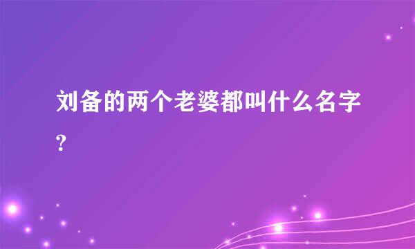 刘备的两个老婆都叫什么名字?