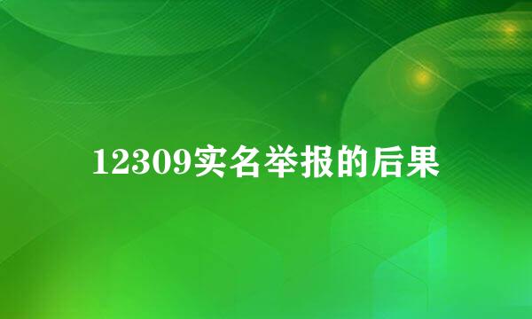 12309实名举报的后果