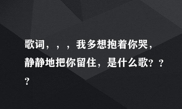 歌词，，，我多想抱着你哭，静静地把你留住，是什么歌？？？