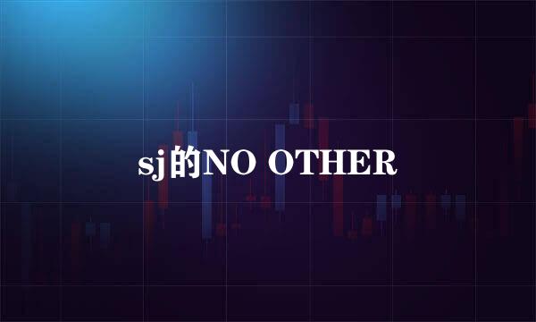 sj的NO OTHER