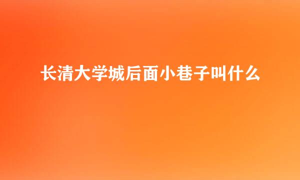 长清大学城后面小巷子叫什么