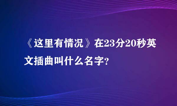 《这里有情况》在23分20秒英文插曲叫什么名字？