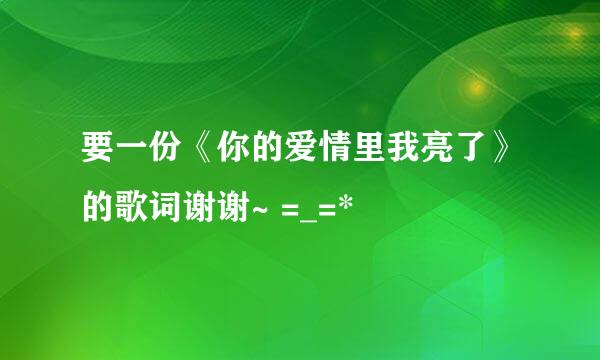 要一份《你的爱情里我亮了》的歌词谢谢~ =_=*