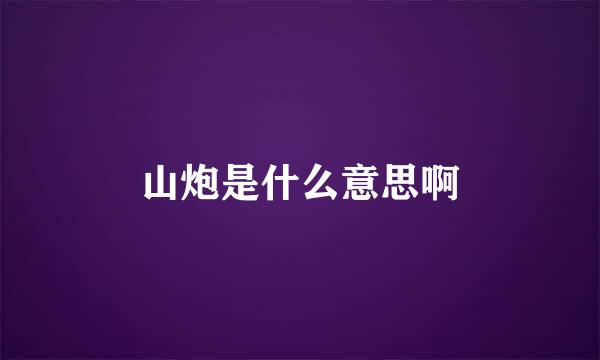 山炮是什么意思啊