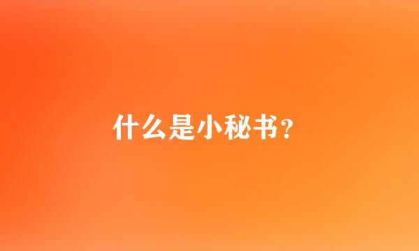 什么是小秘书？