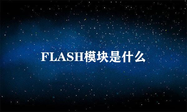 FLASH模块是什么