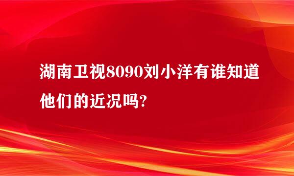 湖南卫视8090刘小洋有谁知道他们的近况吗?