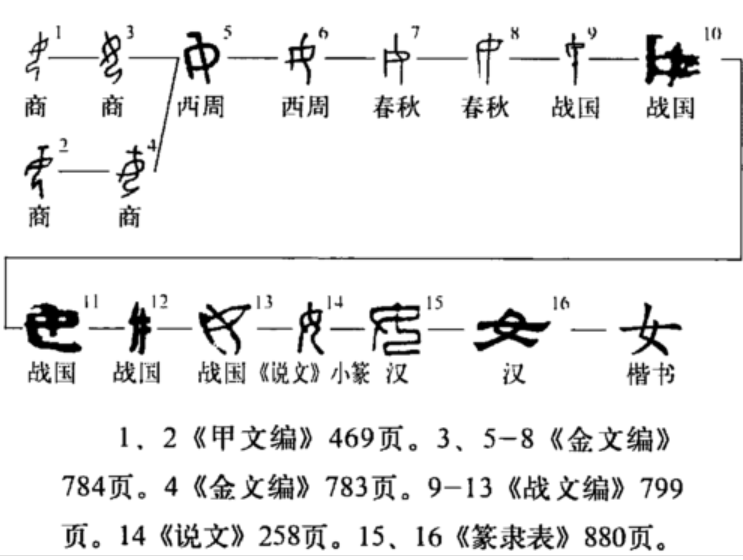 女是什么意思