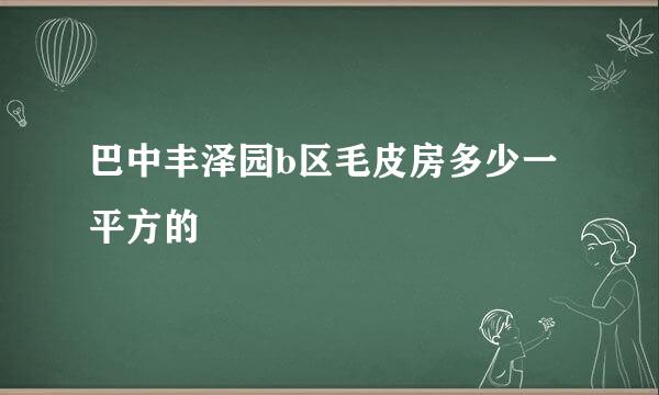 巴中丰泽园b区毛皮房多少一平方的