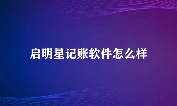 启明星记账软件怎么样